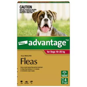 Advantage spot-on flea treatment for dogs cats rabbits ferrets monthly flea control