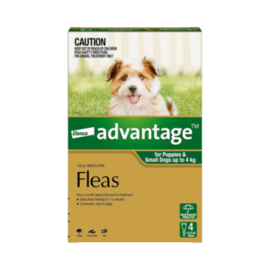 Elanco Advantage for Puppies and Small Dogs up to 4kg 4 pack spot-on flea treatment box