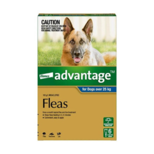 Elanco Advantage for Dogs over 25kg 6 pack spot-on flea treatment box