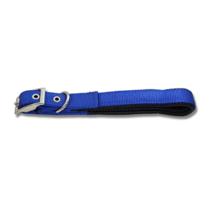 Padded nylon dog collar by Bainbridge in vibrant colours with chrome hardware and reinforced eyelets