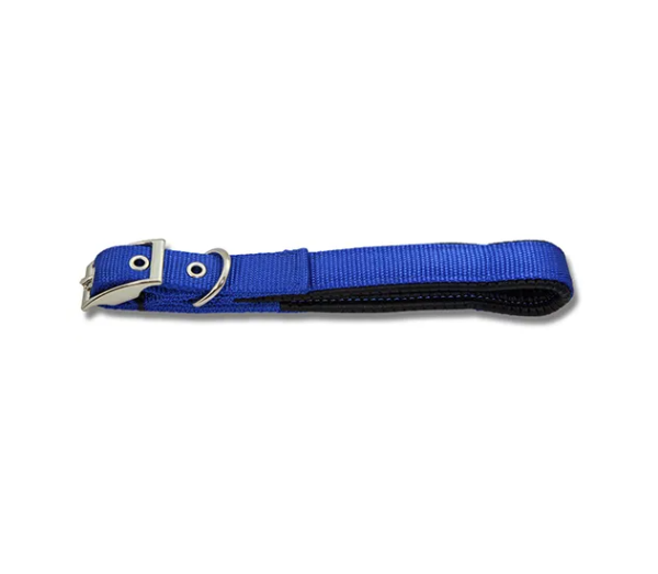Padded nylon dog collar by Bainbridge in vibrant colours with chrome hardware and reinforced eyelets