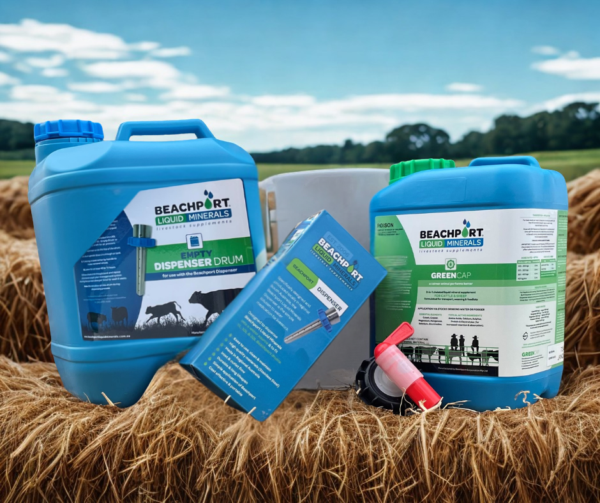 Beachport Starter Pack – three bottles of livestock supplement with drench applicator in a display box