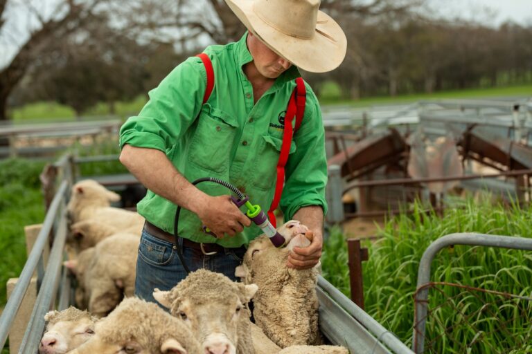 Livestock drench products