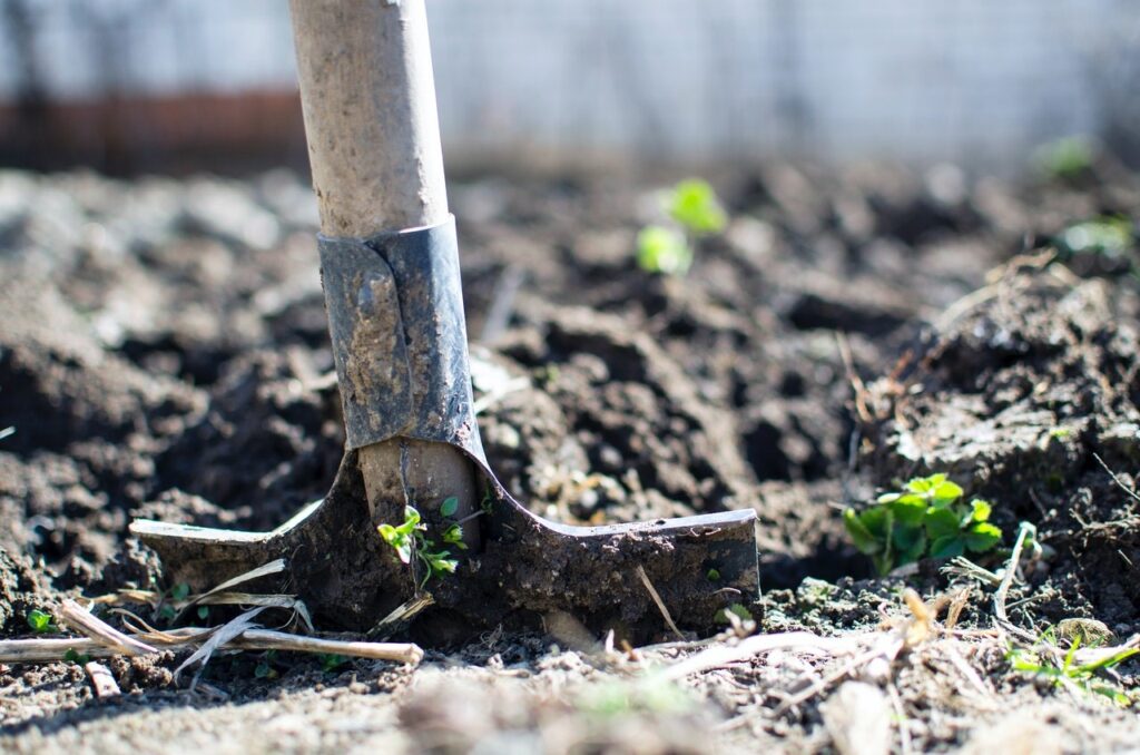 Close-up of a hoe digging into soil with small green plants growing nearby.