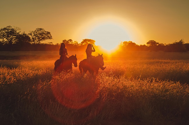 Two riders on horseback move through tall golden grass at sunset, creating a warm and atmospheric rural scene.