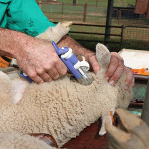 Vaccination Equipment