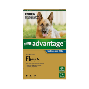 Elanco Advantage for Dogs over 25kg 4 pack spot-on flea treatment box
