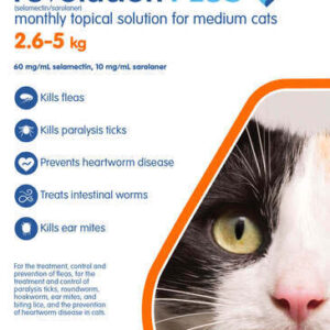 Revolution Plus Medium Cat Orange 2.6–5kg 3pk parasite protection.