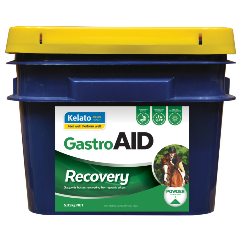 Kelato GastroAid Recovery 5.25kg horse gastric supplement tub
