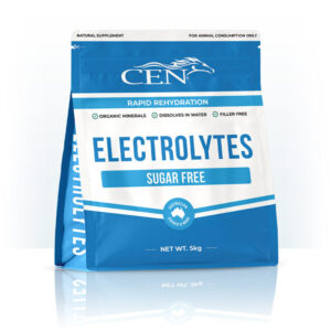 CEN Horse Electrolytes Supplement 5kg tub for horses