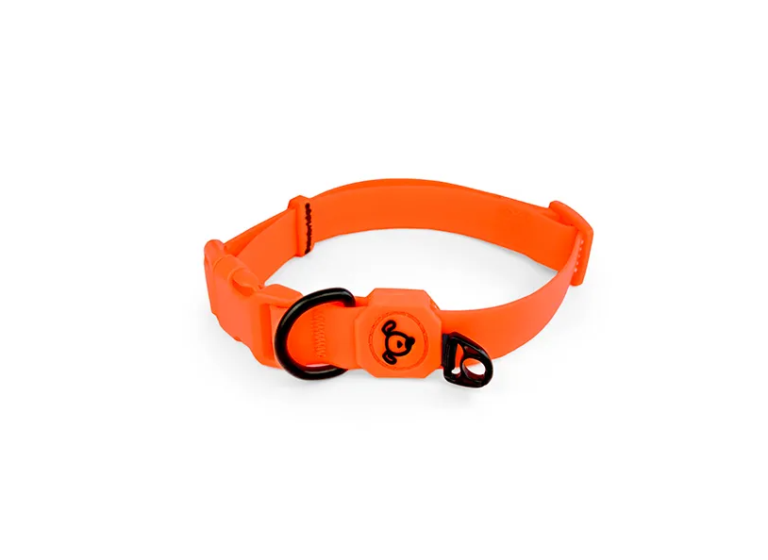 Bainbridge waterproof dog collar coated PVC with D ring in six bright colours