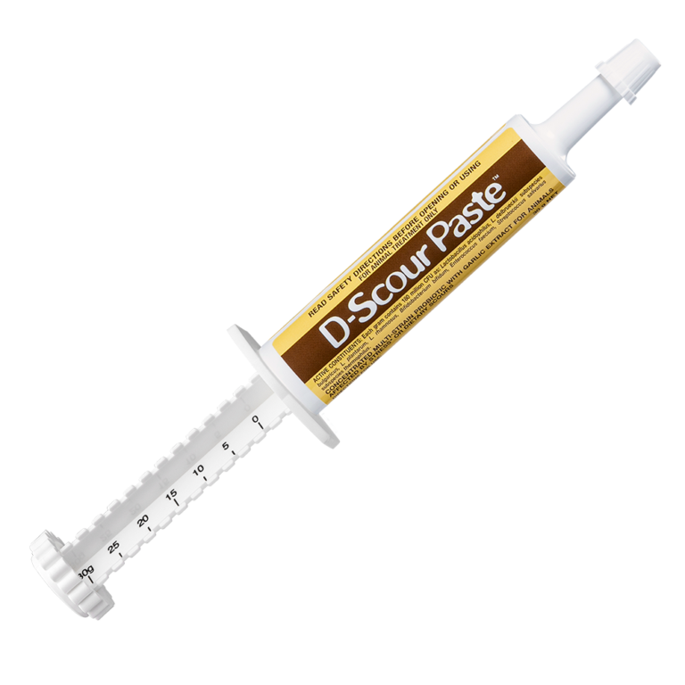 D-Scour Paste 30g oral syringe with brown and yellow label